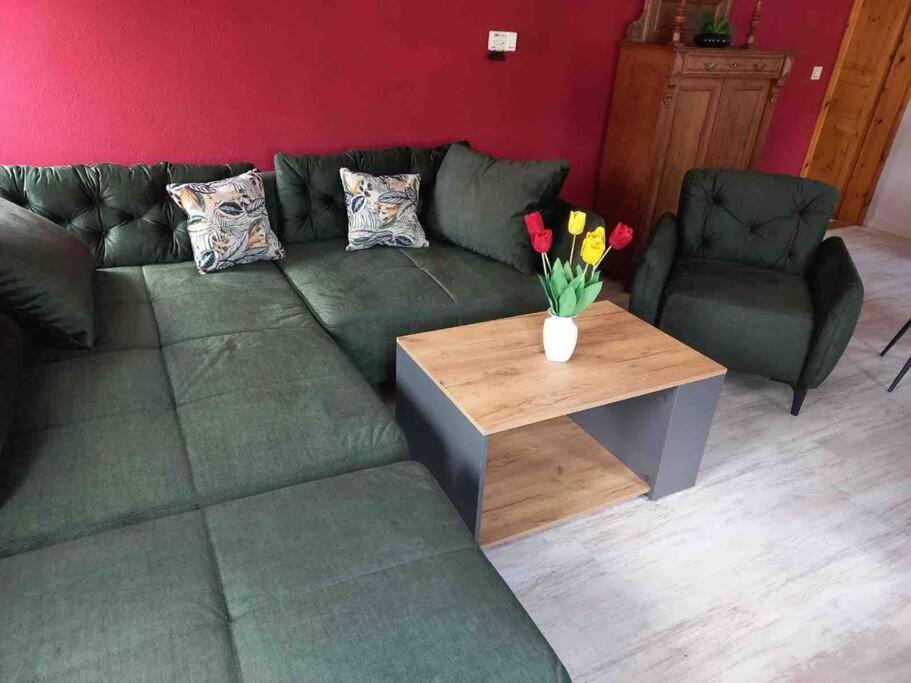 Maisonette-Fewo Fritz Mit Infrarotsauna Großschönau Esterno foto