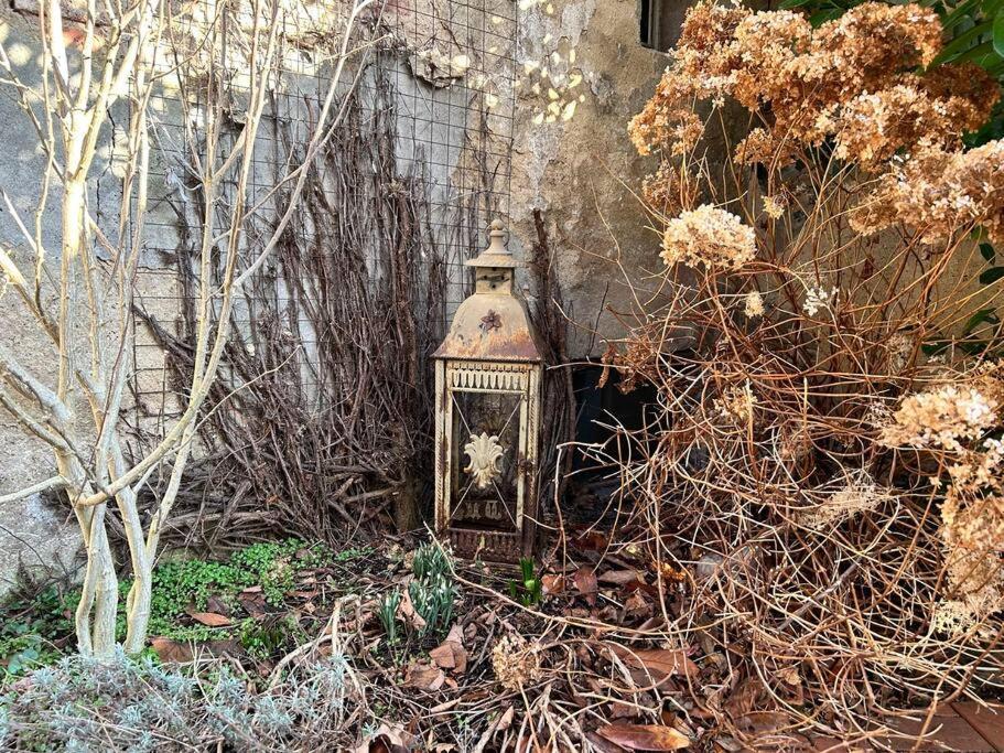 Maisonette-Fewo Fritz Mit Infrarotsauna Großschönau Esterno foto